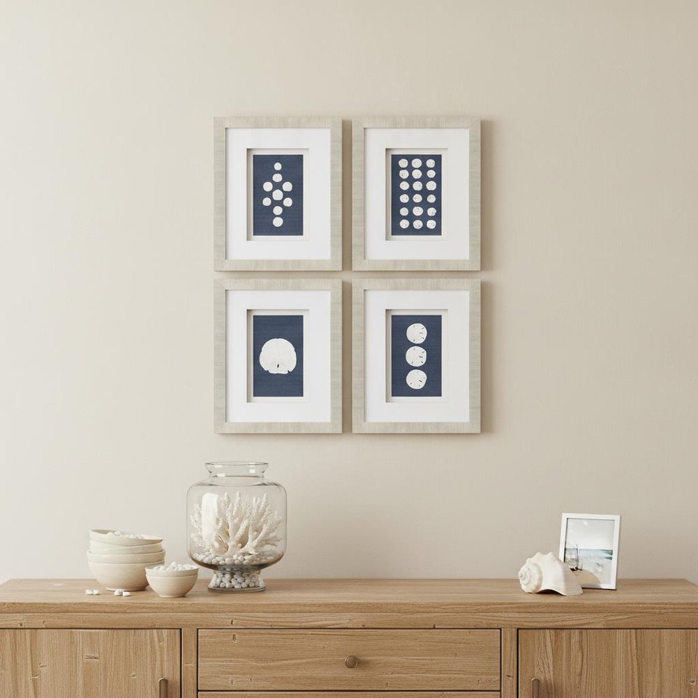 Set Of Four Sand Dollars Gold Framed Print Wall Art HomeRoots