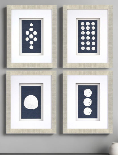 Set Of Four Sand Dollars Gold Framed Print Wall Art HomeRoots