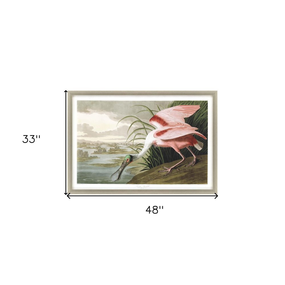 Roseate Spoonbill Silver Framed Print Wall Art HomeRoots