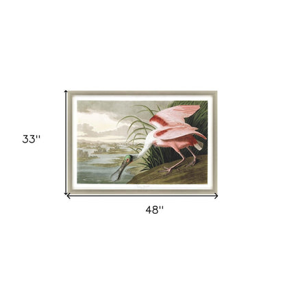 Roseate Spoonbill Silver Framed Print Wall Art HomeRoots
