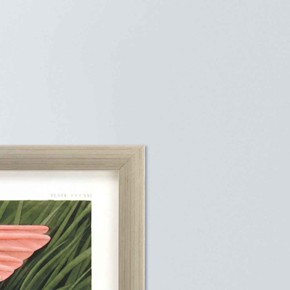 Roseate Spoonbill Silver Framed Print Wall Art HomeRoots