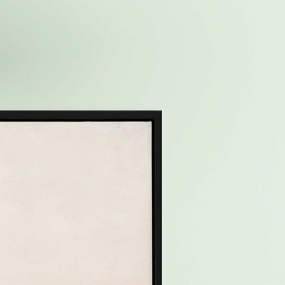 Evanesce II Black Floater Frame Print Wall Art HomeRoots