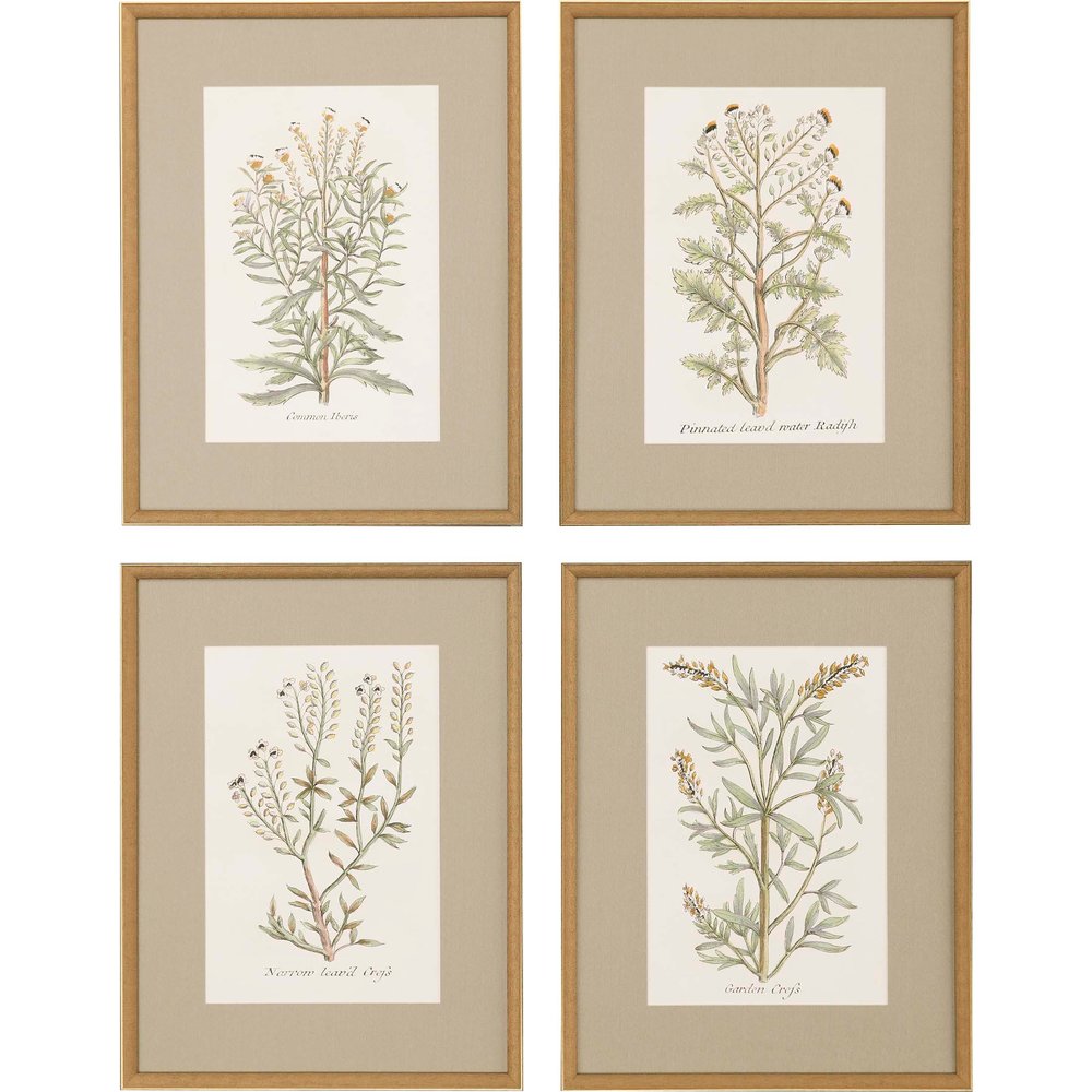 Set Of Four Botanical Plants Gold Framed Print Wall Art — view 1