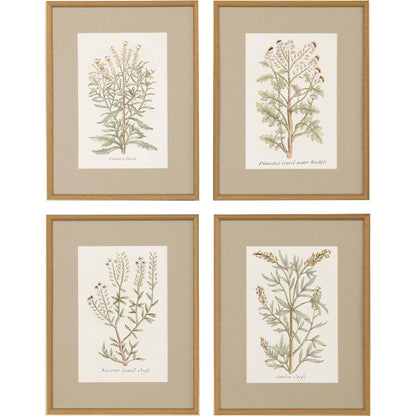 Set Of Four Botanical Plants Gold Framed Print Wall Art