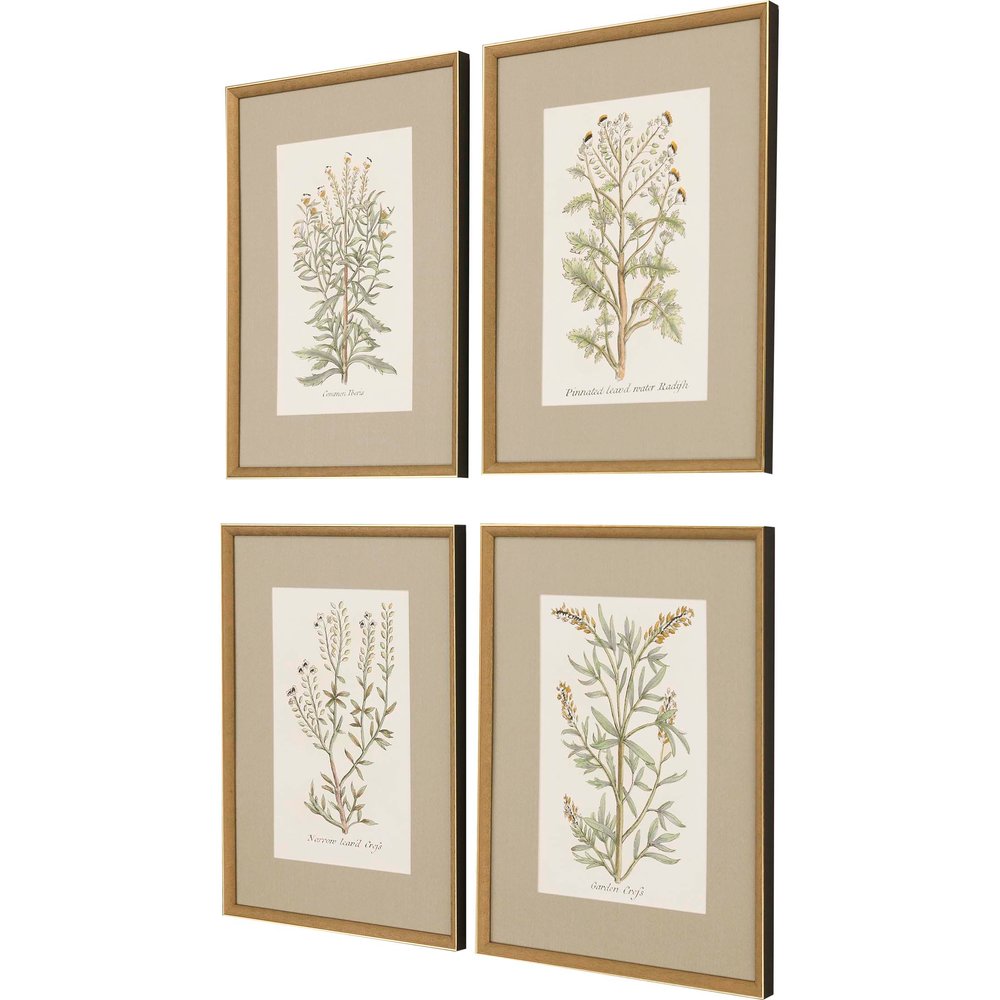 Set Of Four Botanical Plants Gold Framed Print Wall Art — view 2