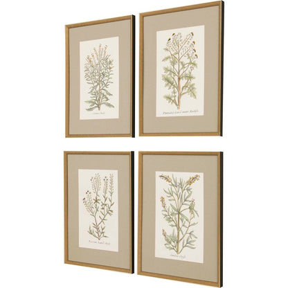 Set Of Four Botanical Plants Gold Framed Print Wall Art