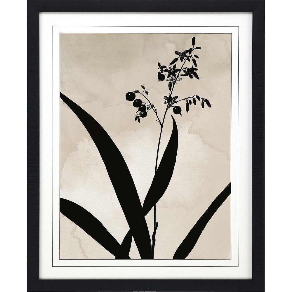 Dianella Black Framed Print Wall Art — view 1