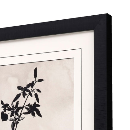 Dianella Black Framed Print Wall Art