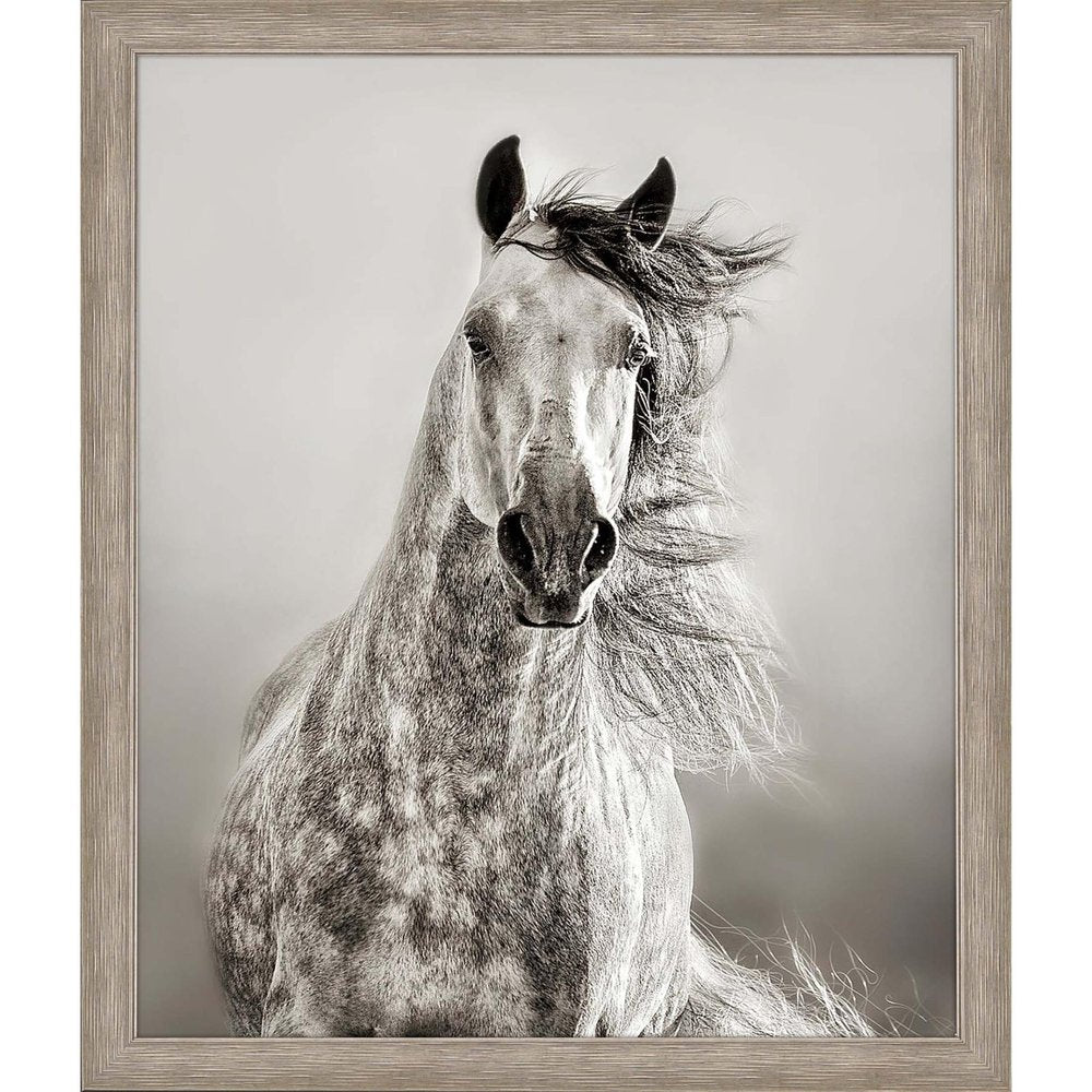Caballo de Andaluz Silver Framed Print Wall Art