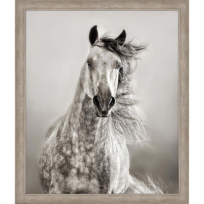 Caballo de Andaluz Silver Framed Print Wall Art