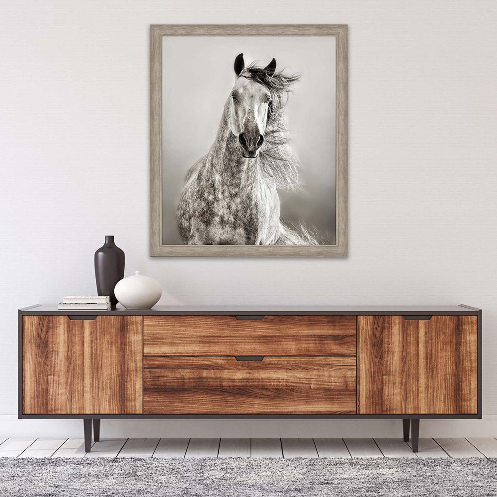 Caballo de Andaluz Silver Framed Print Wall Art