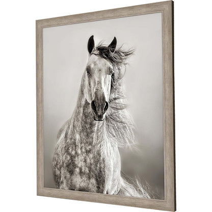 Caballo de Andaluz Silver Framed Print Wall Art
