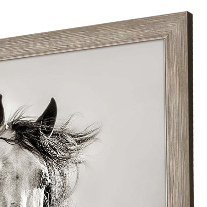 Caballo de Andaluz Silver Framed Print Wall Art