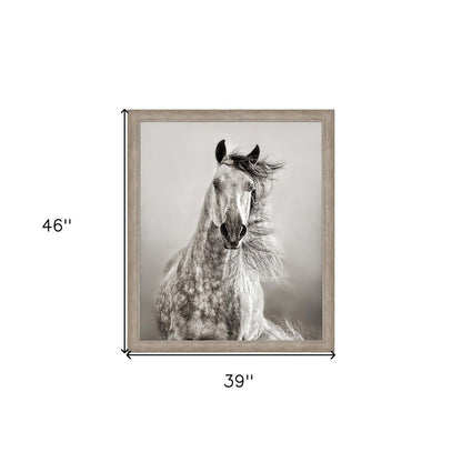Caballo de Andaluz Silver Framed Print Wall Art