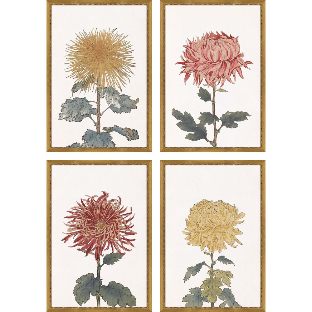 Set Of Four Chrysanthemum Gold Framed Print Wall Art — view 1