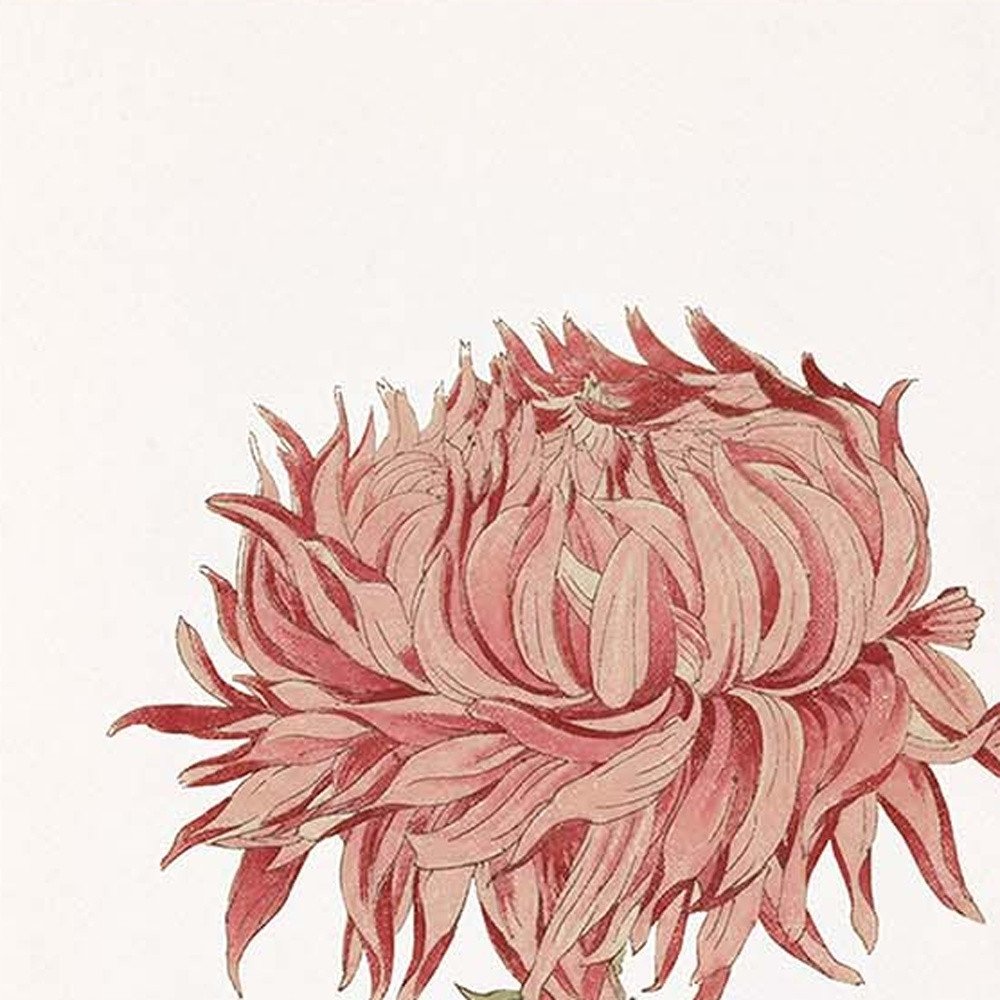 Set Of Four Chrysanthemum Gold Framed Print Wall Art — view 2