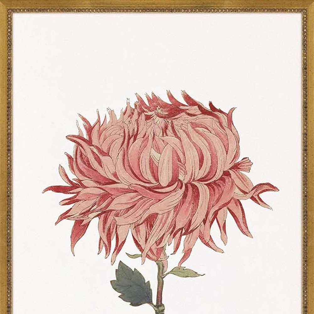 Set Of Four Chrysanthemum Gold Framed Print Wall Art — view 3
