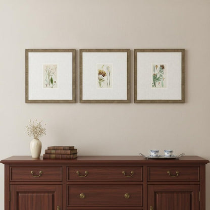 Set Of Three Antique Botanical Gold Framed Print Wall Art