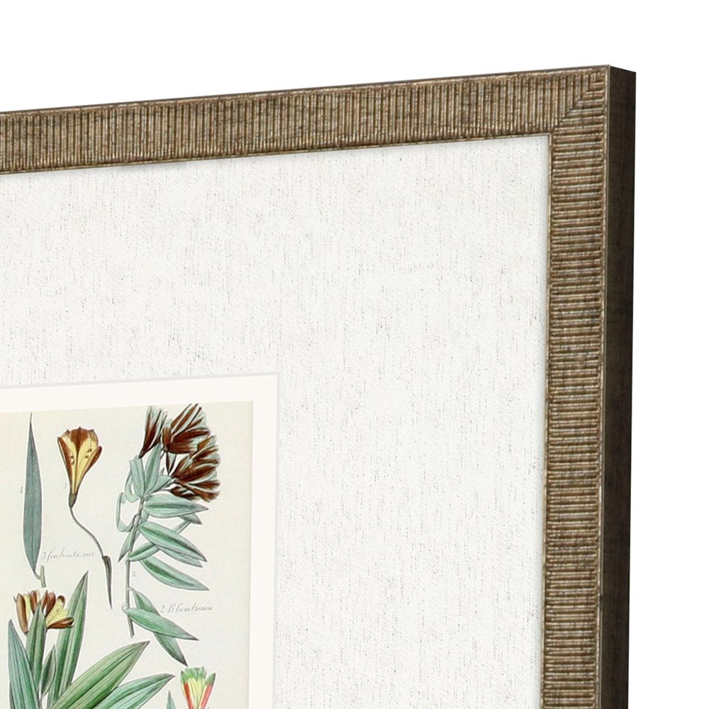 Set Of Three Antique Botanical Gold Framed Print Wall Art