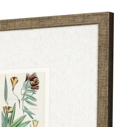 Set Of Three Antique Botanical Gold Framed Print Wall Art