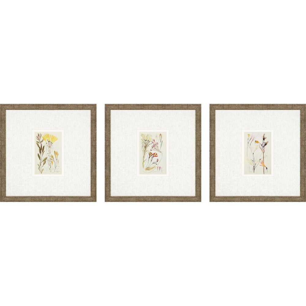 Set Of Three Antique Botanical II Gold Framed Print Wall Art