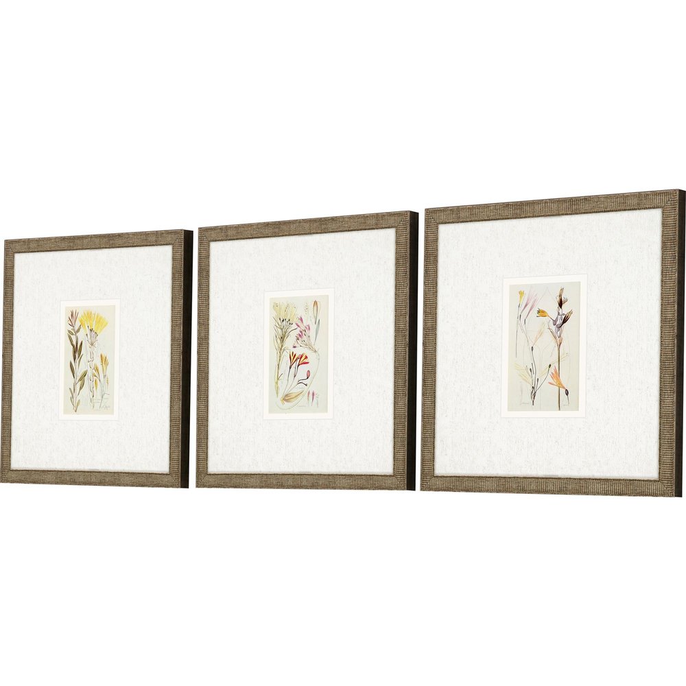 Set Of Three Antique Botanical II Gold Framed Print Wall Art