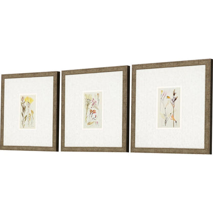 Set Of Three Antique Botanical II Gold Framed Print Wall Art
