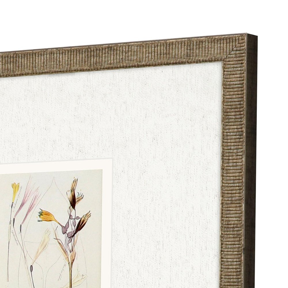 Set Of Three Antique Botanical II Gold Framed Print Wall Art — view 3