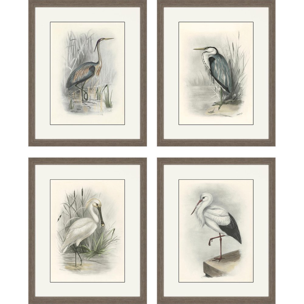 Set Of Four Birds Brown Framed Print Wall Art — view 1