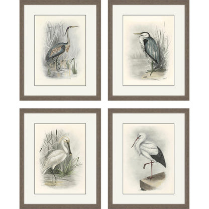 Set Of Four Birds Brown Framed Print Wall Art