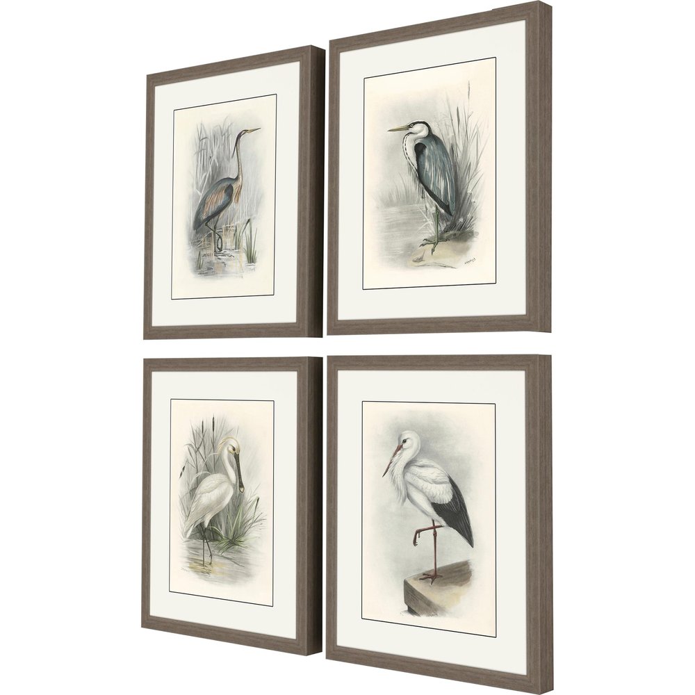 Set Of Four Birds Brown Framed Print Wall Art — view 2