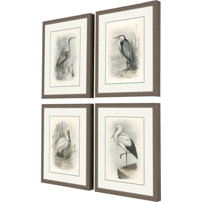Set Of Four Birds Brown Framed Print Wall Art