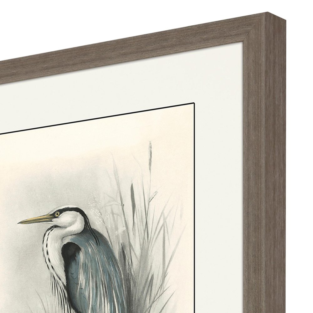 Set Of Four Birds Brown Framed Print Wall Art