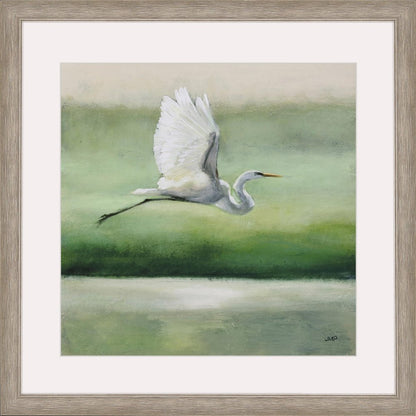 Flight Silver Framed Print Wall Art