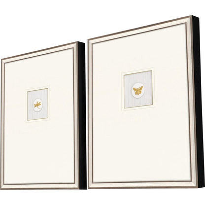 Set Of Two Insect Intaglio II Silver Framed Print Wall Art