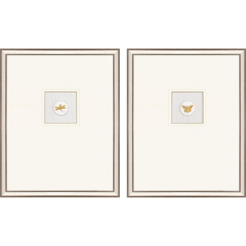 Set Of Two Insect Intaglio II Silver Framed Print Wall Art