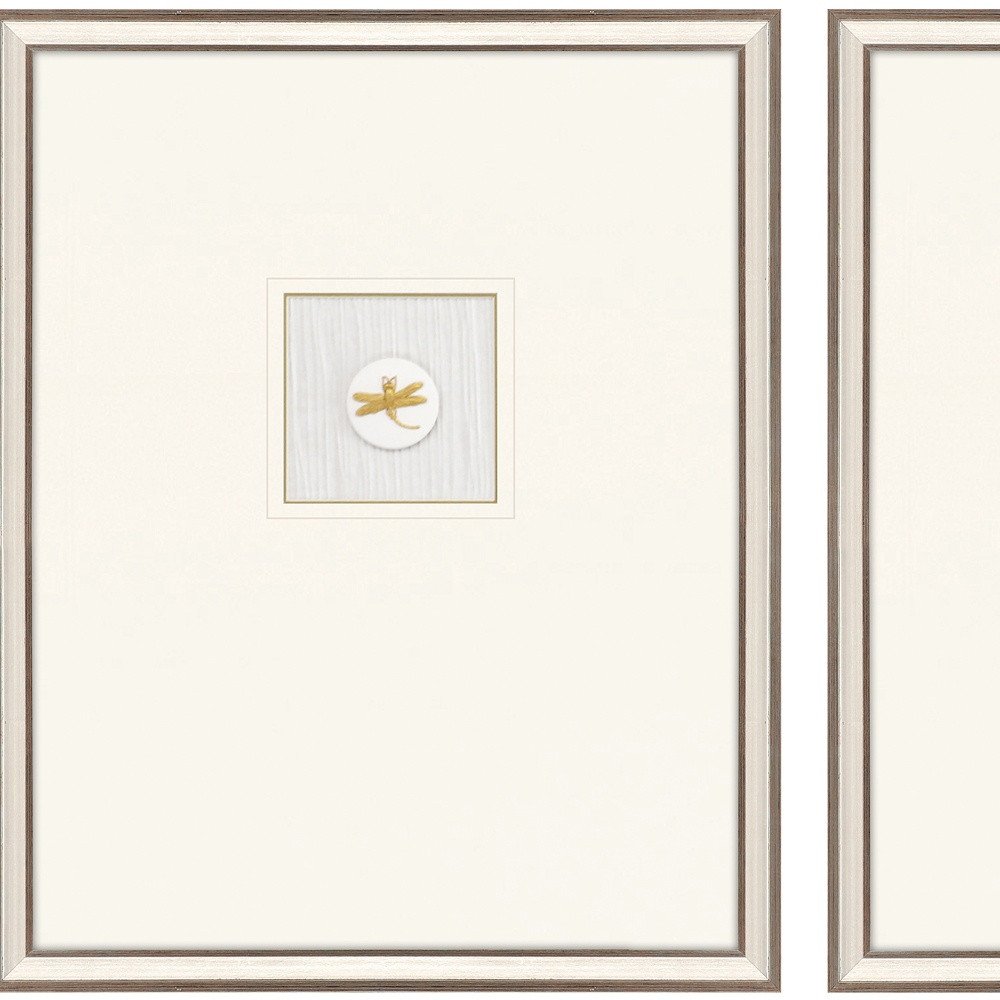Set Of Two Insect Intaglio II Silver Framed Print Wall Art