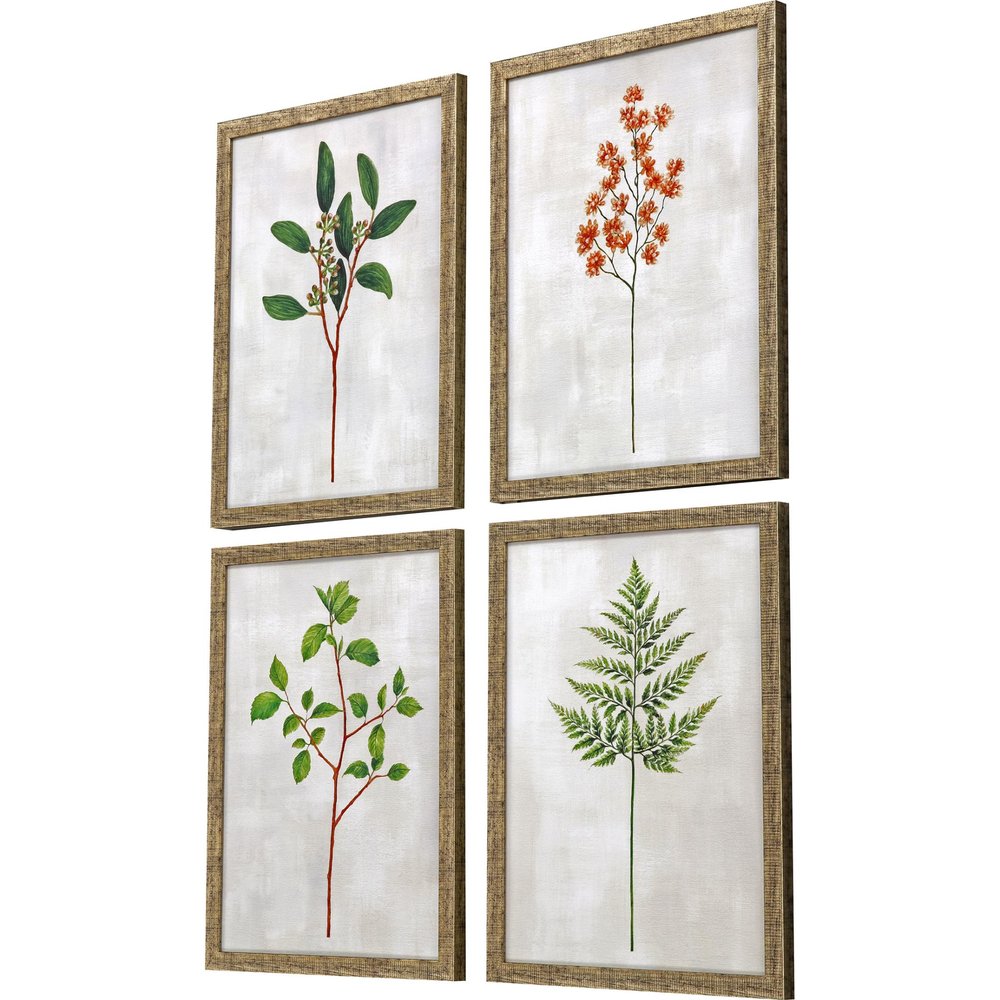 Set Of Four Botanical I Gold Framed Print Wall Art