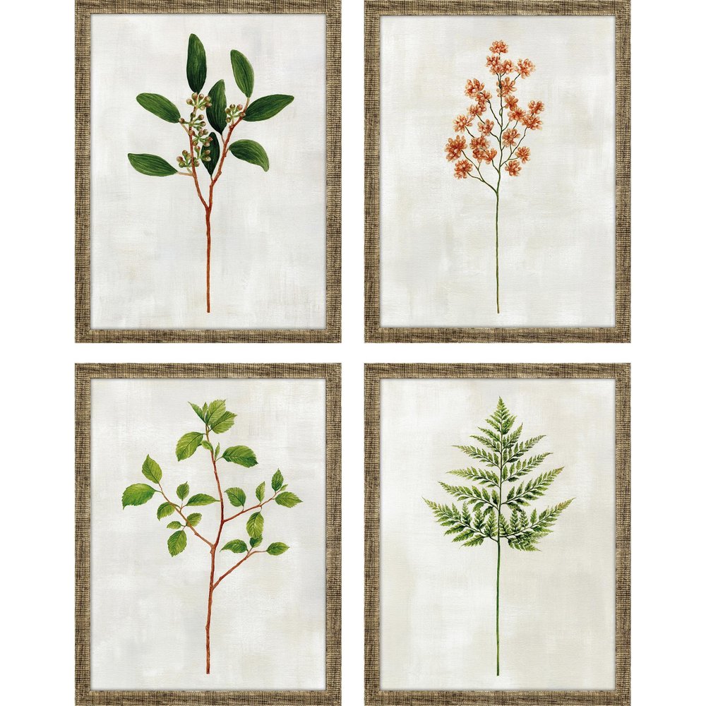 Set Of Four Botanical I Gold Framed Print Wall Art