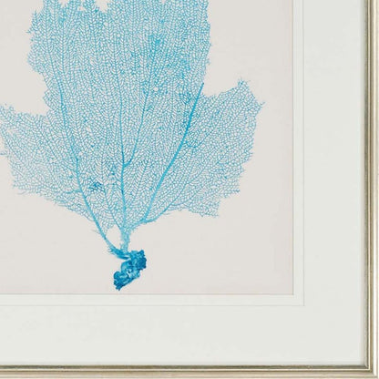 Set Of Three Sea Fan I Silver Framed Print Wall Art