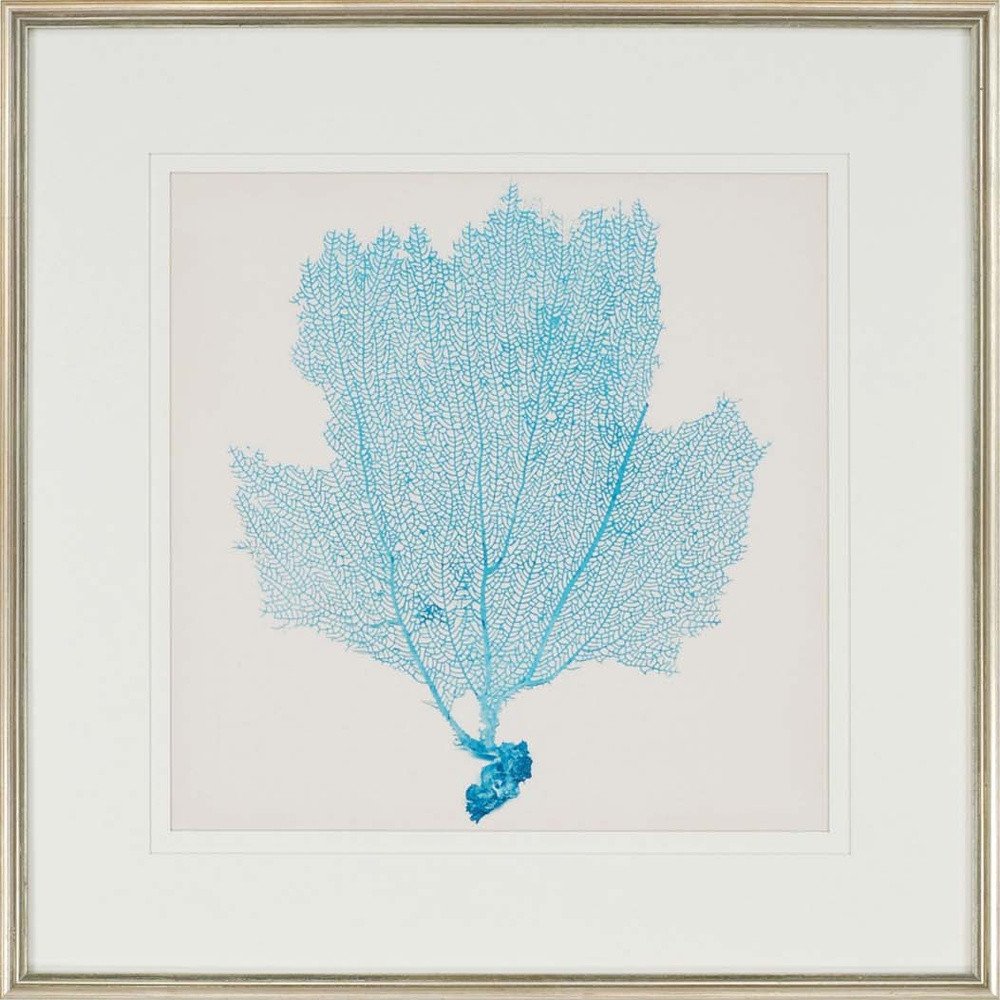 Set Of Three Sea Fan I Silver Framed Print Wall Art