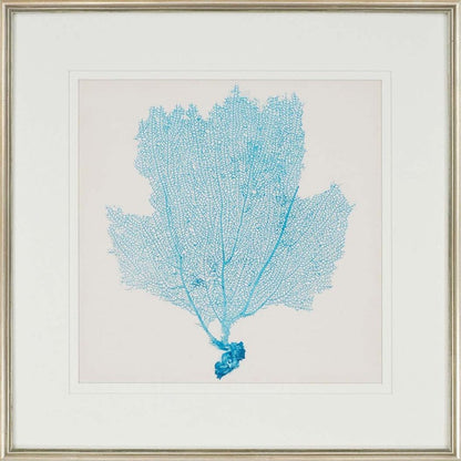 Set Of Three Sea Fan I Silver Framed Print Wall Art