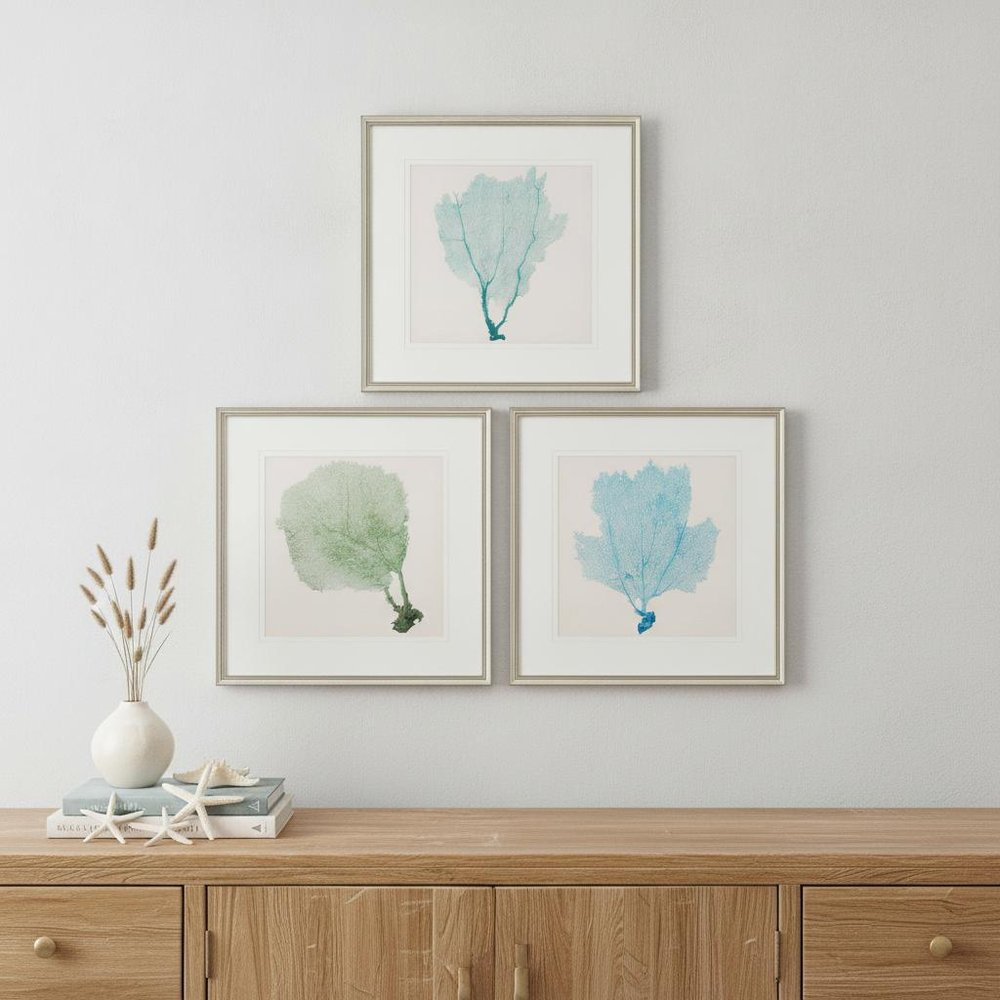 Set Of Three Sea Fan I Silver Framed Print Wall Art — view 4