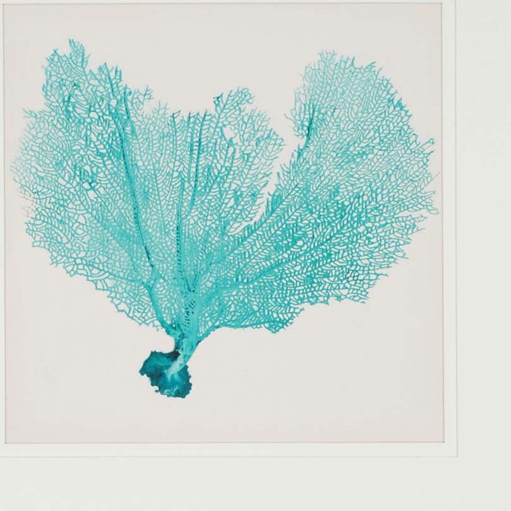 Set Of Three Sea Fan II Silver Framed Print Wall Art