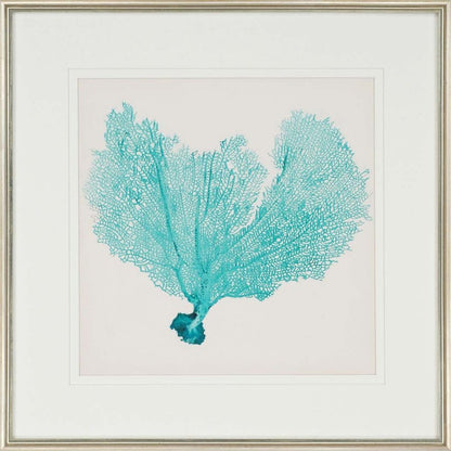 Set Of Three Sea Fan II Silver Framed Print Wall Art