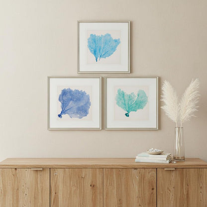 Set Of Three Sea Fan II Silver Framed Print Wall Art
