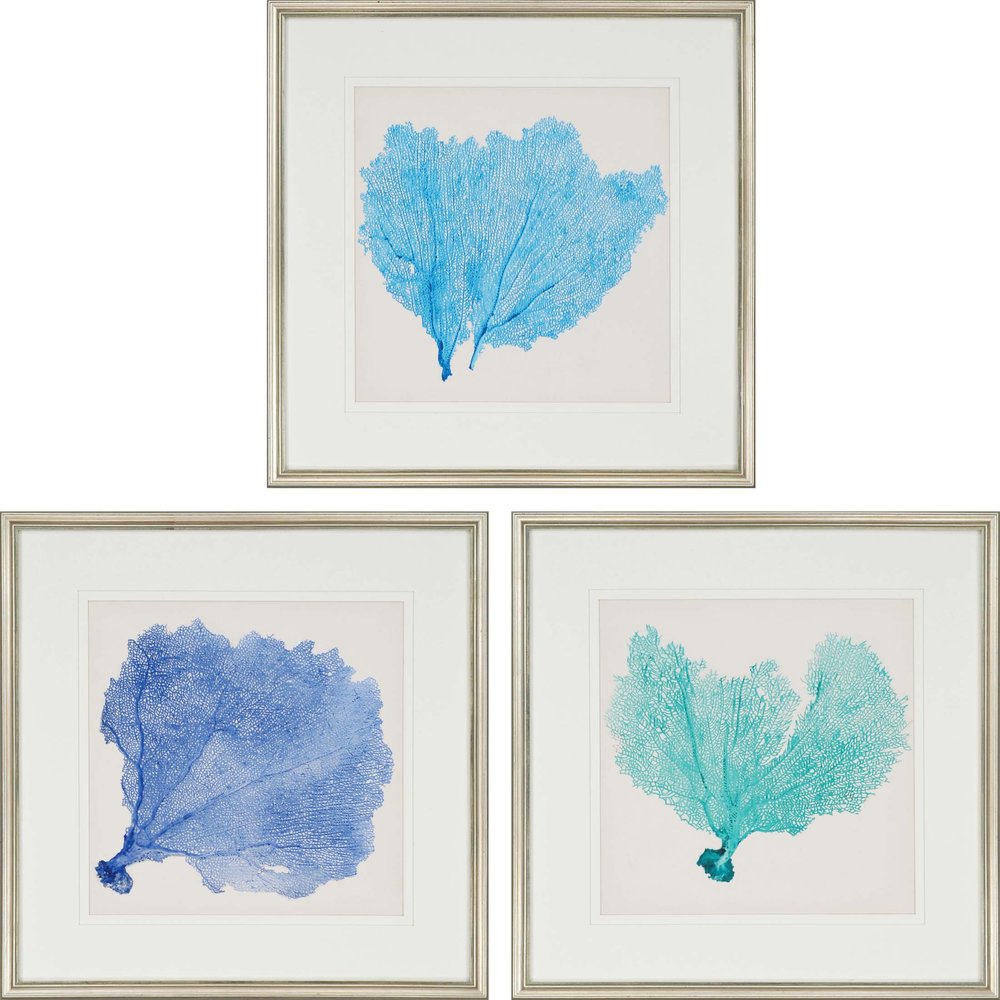 Set Of Three Sea Fan II Silver Framed Print Wall Art — view 1