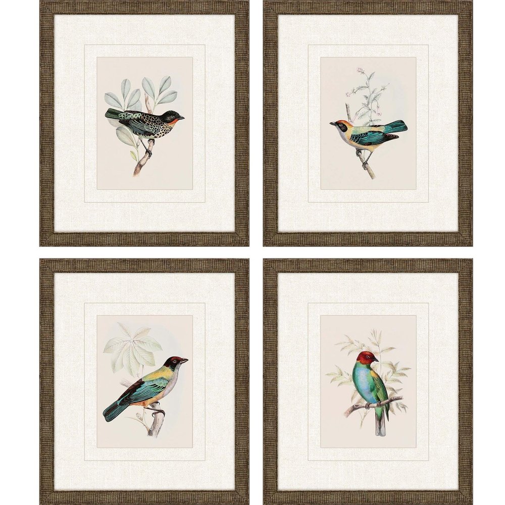 Set Of Four On Perch I Gold Framed Print Wall Art