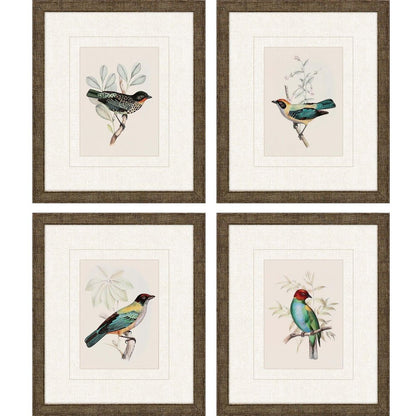 Set Of Four On Perch I Gold Framed Print Wall Art