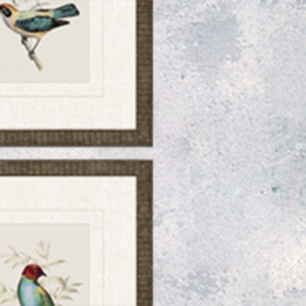Set Of Four On Perch I Gold Framed Print Wall Art